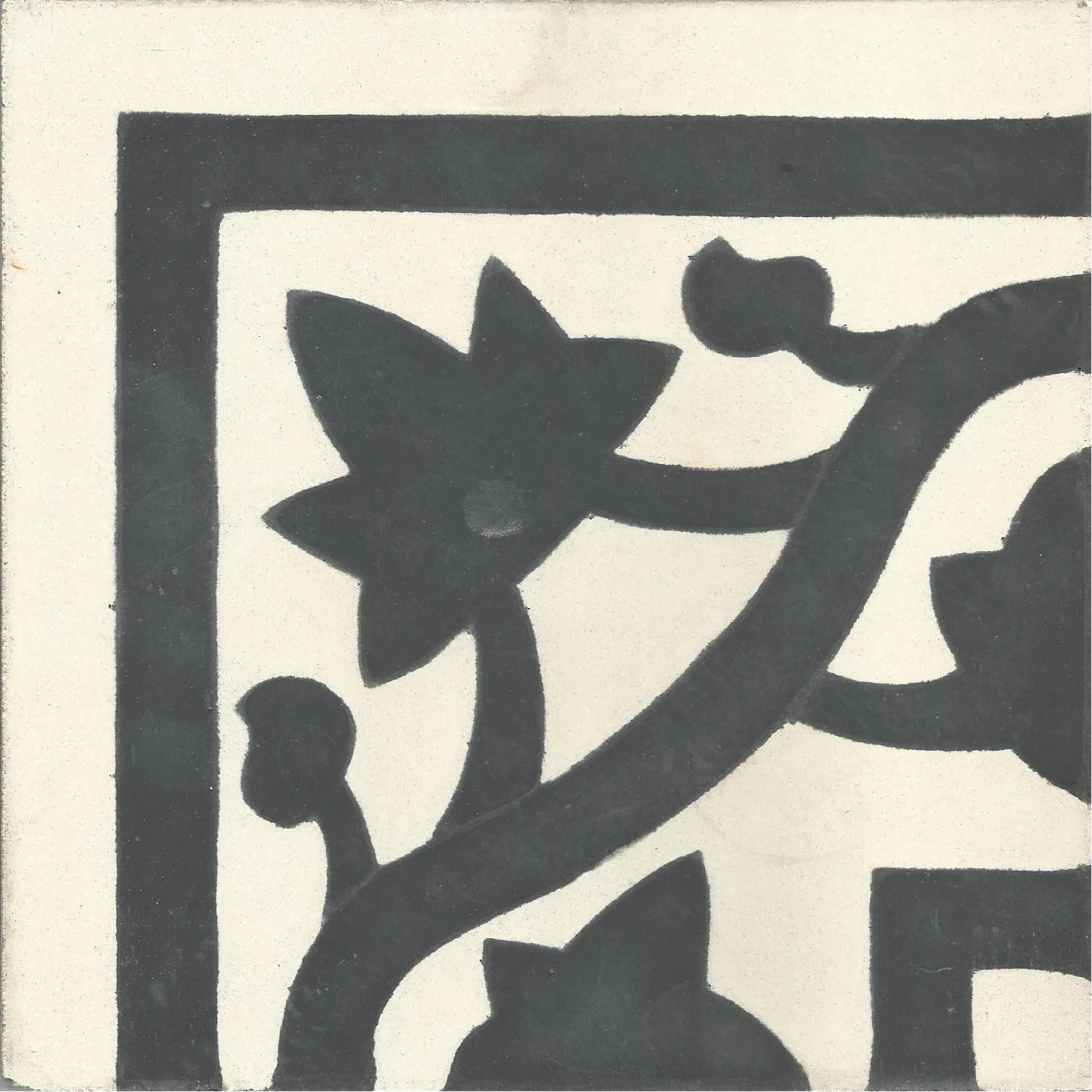 Zitoune Dot — Sage Ivory — Handmade Moroccan Cement Tile